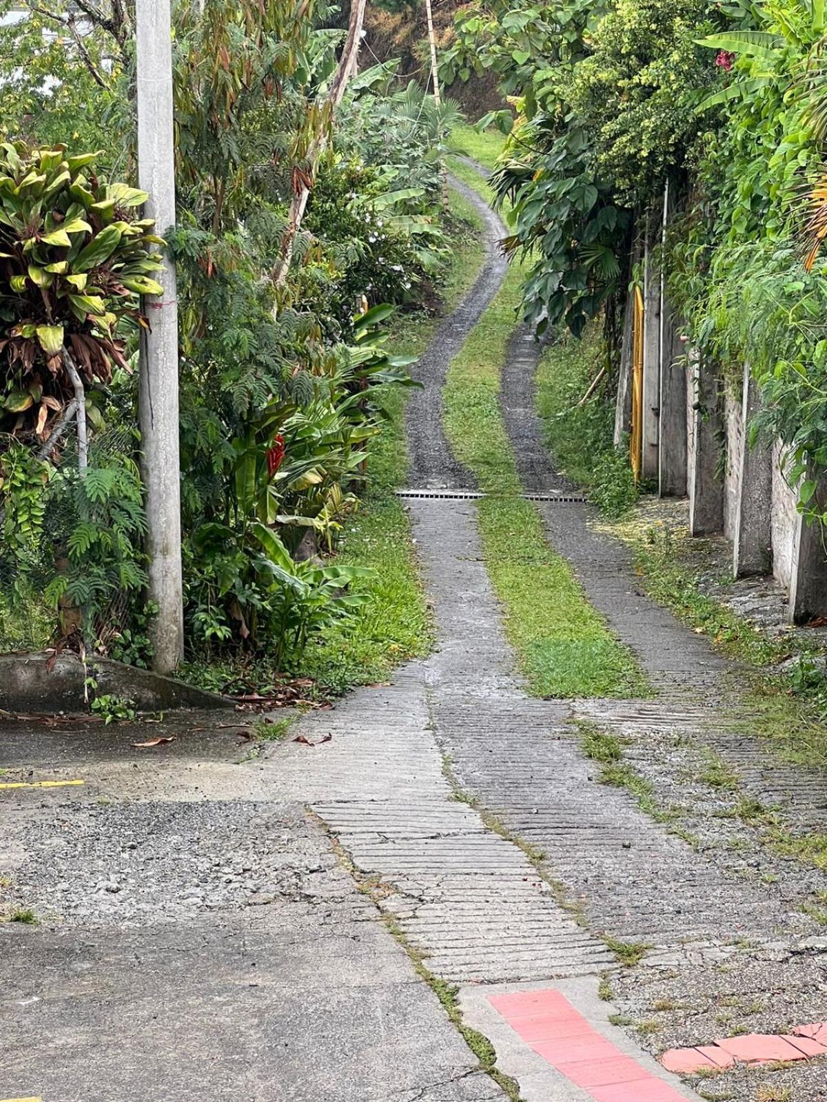 Eco Hotel La Selecta Campestre ペレイラ エクステリア 写真