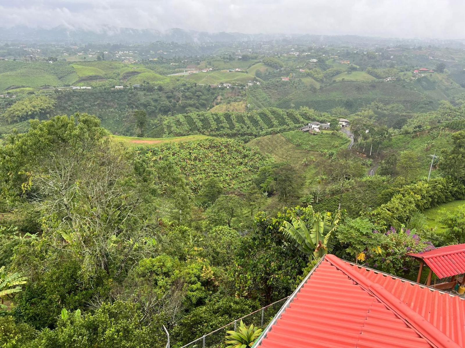 Eco Hotel La Selecta Campestre ペレイラ エクステリア 写真