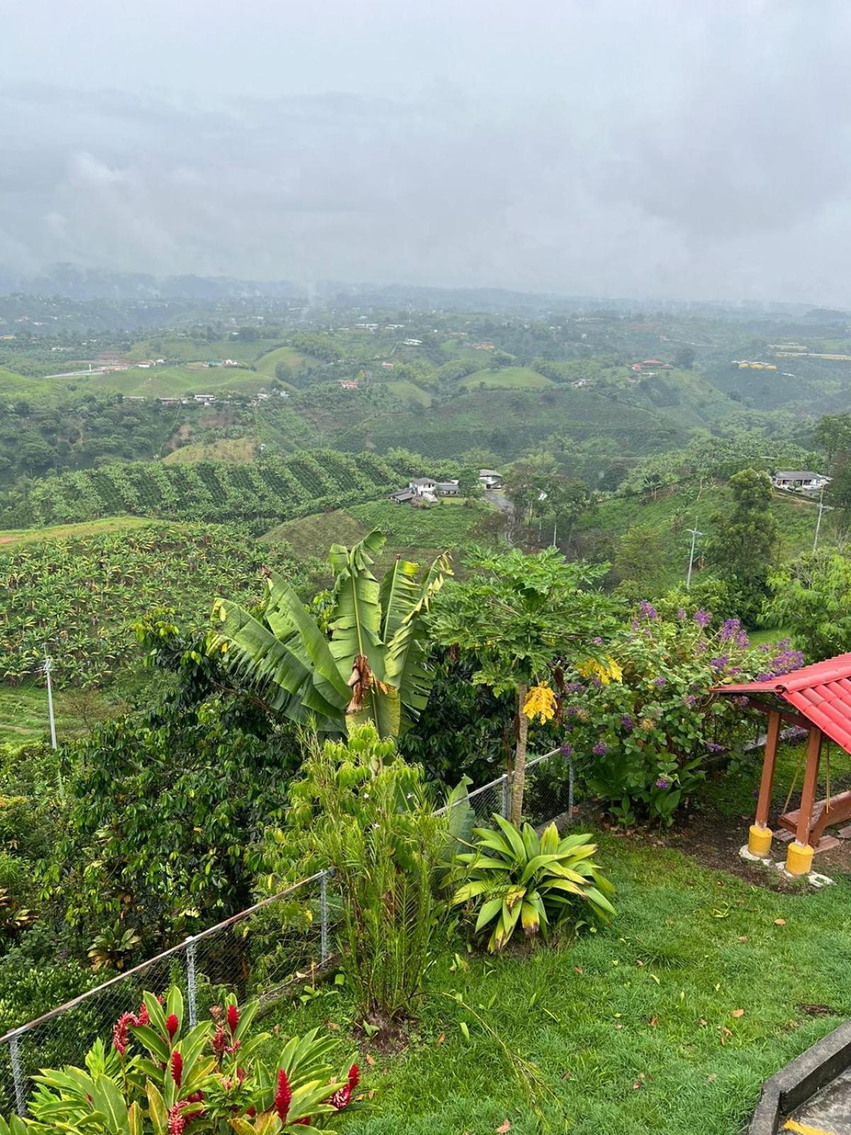 Eco Hotel La Selecta Campestre ペレイラ エクステリア 写真